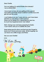 Load image into Gallery viewer, Letter from the Easter Bunny - Racer Style